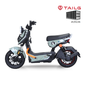 TAILG X51 LEAD ACID 25km/h