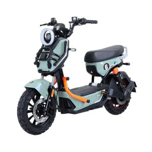 TAILG X51 LEAD ACID 25km/h