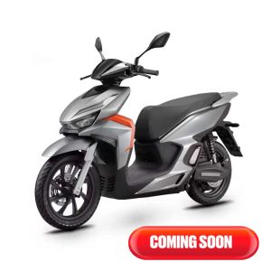 E-RIDE SOLID 25km/h (72V/48AH)
